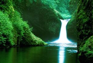 الغاب المحيط شعر خواطر ديوان مساحة وعي